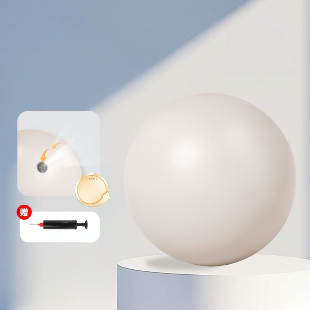 Balle de Pilates de 25 cm pour - Pilates Yoga Ball Exercises avis et prix
